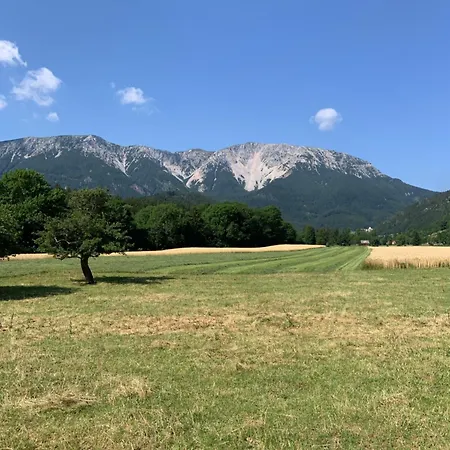 Urlaub In Den Bergen *